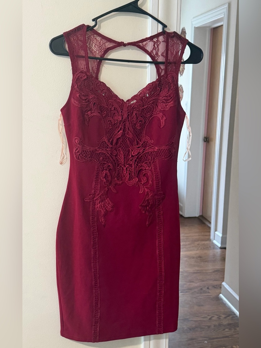 iris Burgundy Lace-Detail Mini Dress
